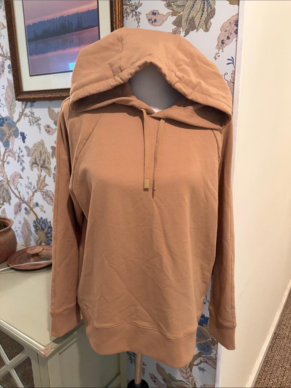 Theory Basic Cloud Fleece Hoodie Pullover Sweater in Camel